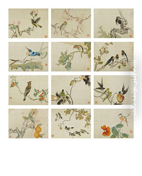 Birds And Flowers (album W/12 Works) by  Fan Jinyong