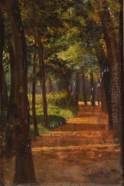 Viale Alberato Oil Painting by Antonio Maria Aspettati