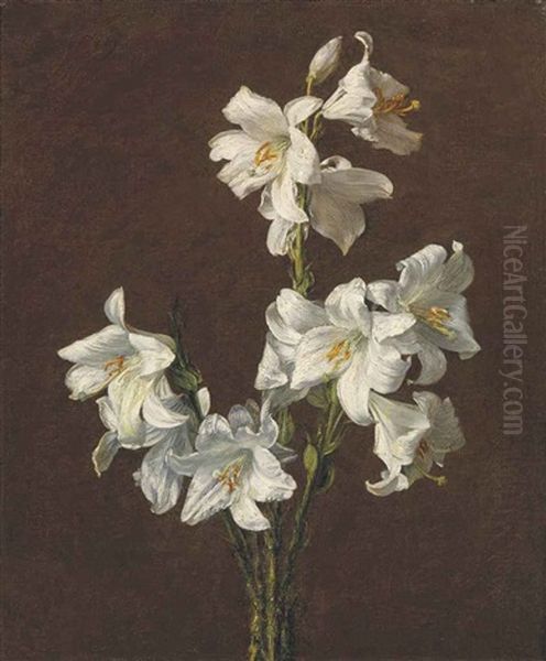 Branche De Lis Sans Vase Oil Painting by Henri Fantin-Latour