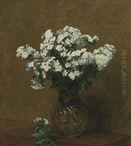 Phlox Blancs Dans Un Vase Oil Painting by Henri Fantin-Latour