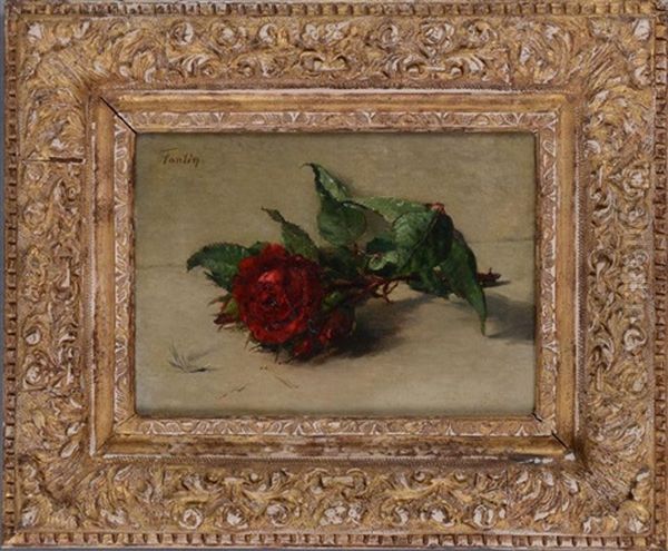 Red Rose Oil Painting by Henri Fantin-Latour