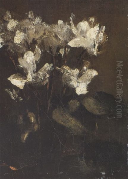 Fleurs, Cyclamens Oil Painting by Henri Fantin-Latour