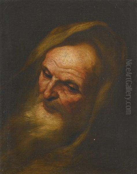 Head Study Of A Philosopher Oil Painting by Giacomo Farelli