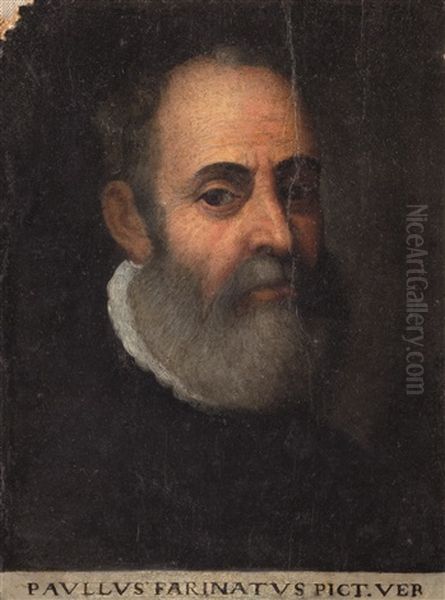 Ritratto Di Paolo Farinati Oil Painting by Paolo Farinati