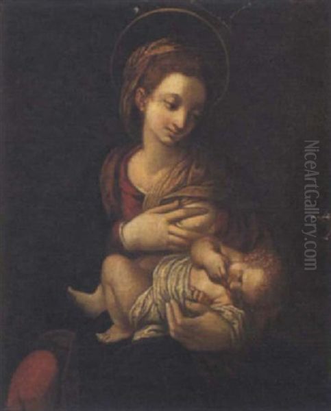 Madonna Con Bambino Oil Painting by Paolo Farinati