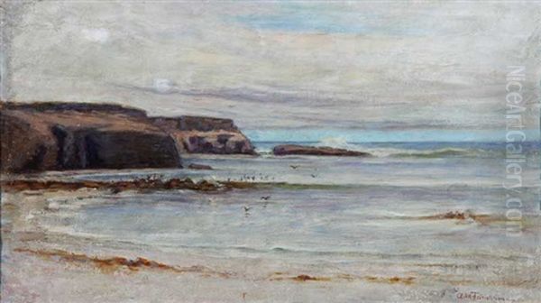 View Of Ocean Beach, San Diego Oil Painting by Ammi Merchant Farnham