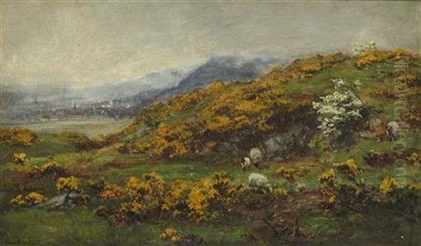 Gorse And May Oil Painting by David Farquharson