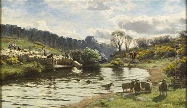 Sheep Plunging Oil Painting by David Farquharson