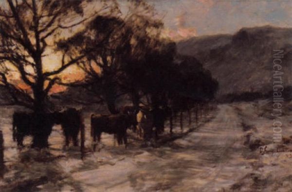 Highland Cattle In The Snow Oil Painting by David Farquharson