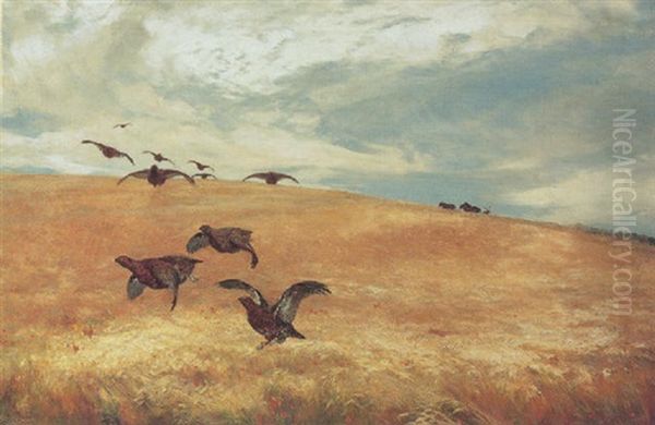 Grouse In Flight Oil Painting by David Farquharson