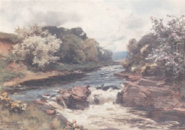 May Blossom Oil Painting by David Farquharson