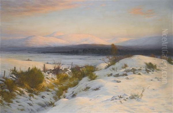 The Valley Of The Feugh Oil Painting by Joseph Farquharson