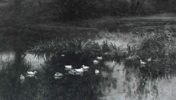 Ducks In A Stream, Forest Of Birse Oil Painting by Joseph Farquharson