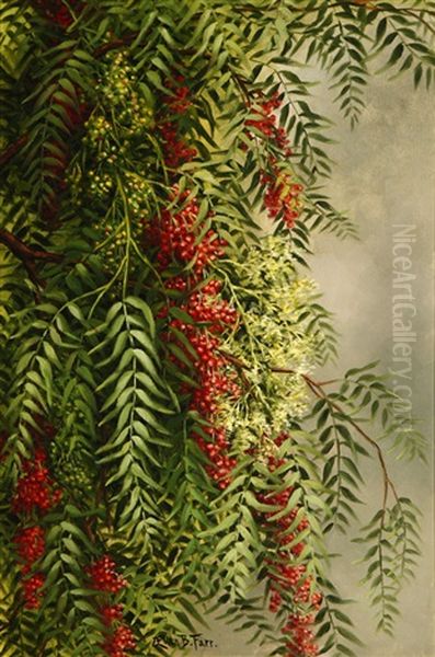 Blossoming Pepper Tree Oil Painting by Ellen Francis Burpee Farr