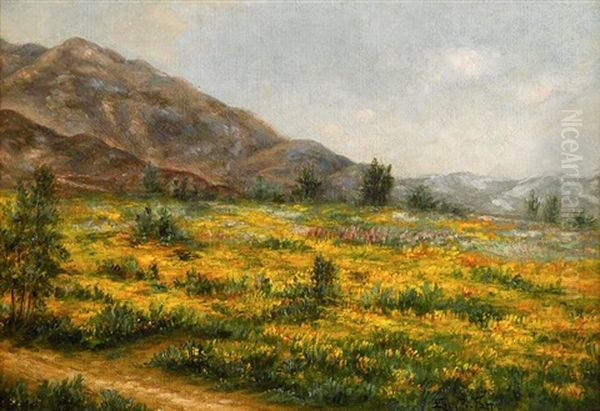 California Wildflowers Oil Painting by Ellen Francis Burpee Farr