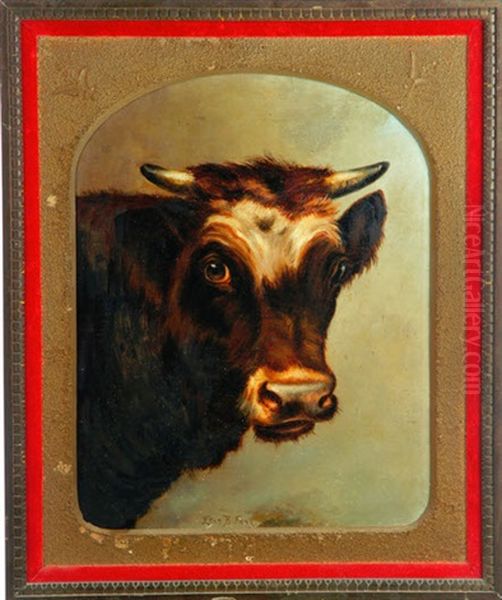 Portrait Of A Cow Oil Painting by Ellen Francis Burpee Farr