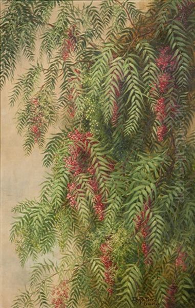 Pepper Tree Branches In Bloom Oil Painting by Ellen Francis Burpee Farr