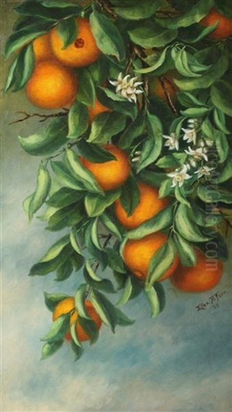 Orange Tree Oil Painting by Ellen Francis Burpee Farr