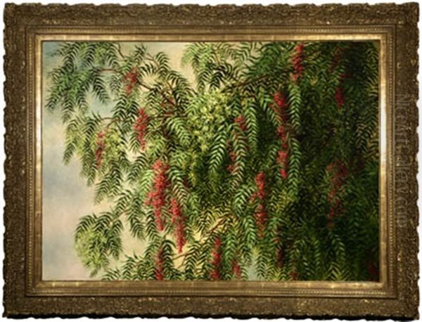 A Blossoming Pepper Tree Oil Painting by Ellen Francis Burpee Farr