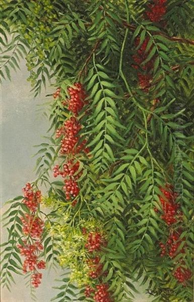 A Branch From A Pepper Tree Oil Painting by Ellen Francis Burpee Farr