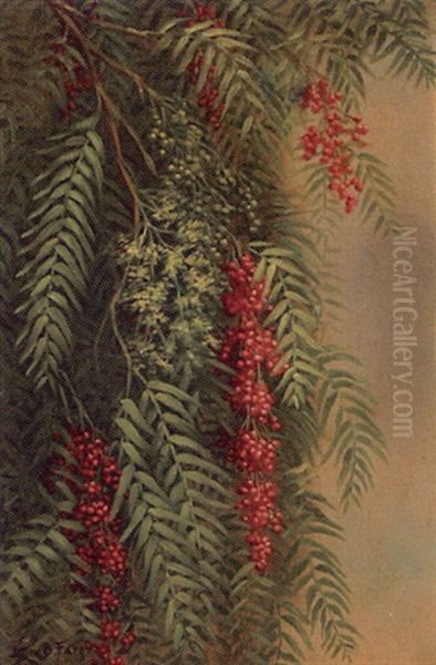 Pepper Tree Branch Oil Painting by Ellen Francis Burpee Farr