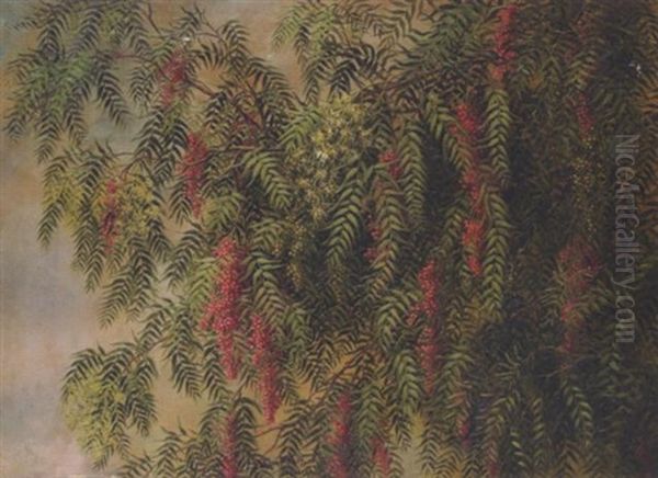 A Blossoming Pepper Tree Oil Painting by Ellen Francis Burpee Farr