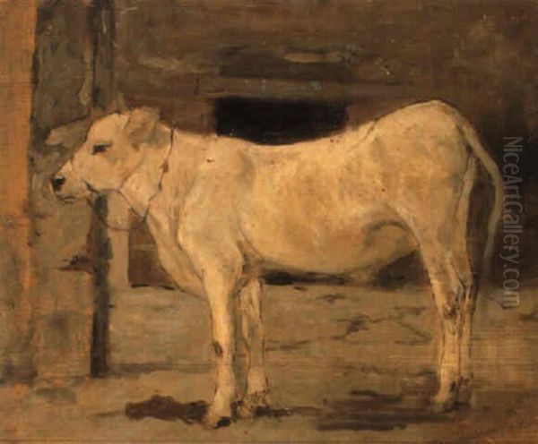 Vitellino Bianco Oil Painting by Giovanni Fattori