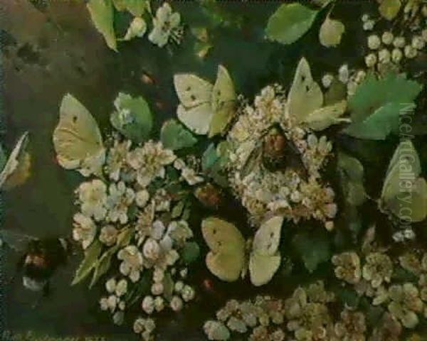 Hawthorn Blossom With A Bumble Bee, Beetle And Cabbage      White Butterflies Oil Painting by Richard Faulhammer