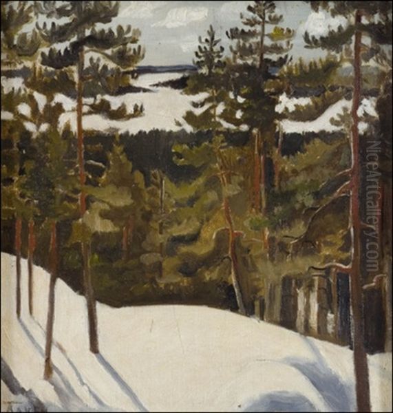 Nakoalapaikalta Oil Painting by Antti Faven