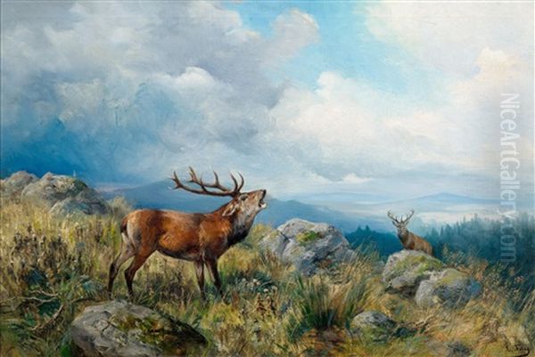 Bellowing Stag Oil Painting by Ludwig Benno Fay