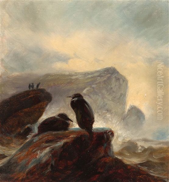 Kormorane An Felsiger Meereskuste Oil Painting by Thomas Fearnley