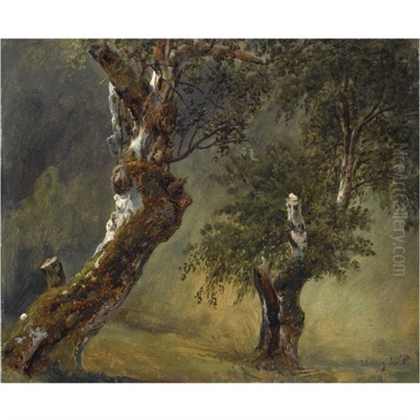 Studie Av Traer-study Of Trees Oil Painting by Thomas Fearnley