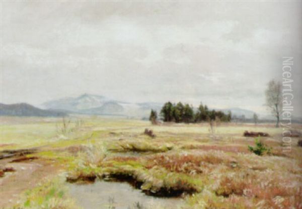 Blick Uber Kleine Tumpel Im Vordergrund Auf Gebirgshorizont Oil Painting by Emerich Fechter