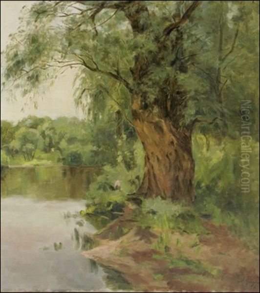 Vanha Puu Rannassa (an Old Tree By The Water) Oil Painting by Mariya Alekseeva Fedorova