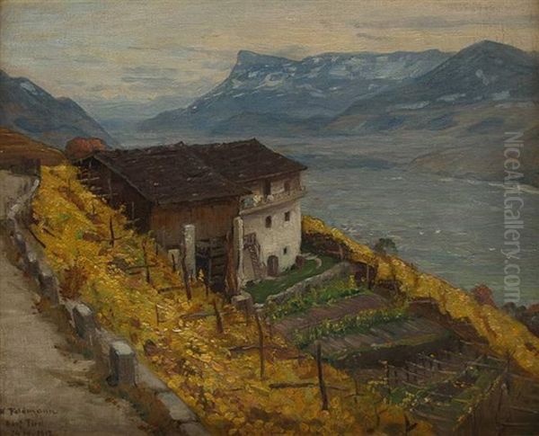 Dorfansicht Von Dorf In Sudtirol Oil Painting by Wilhelm Feldmann