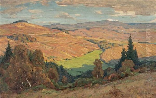 Landschaftspanorama In Sonnenlicht Und Schatten Oil Painting by Wilhelm Feldmann