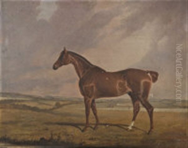 A Portrait Of A Blood Horse In A Landscape Oil Painting by George Fenn