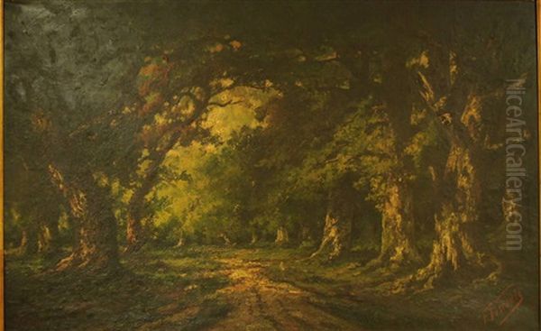 Effets De Lumiere Dans La Clairiere Oil Painting by Adolfo Feragutti Visconti