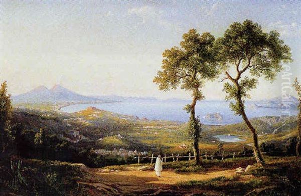 Veduta Del Golfo Di Napoli Dai Camaldoli Oil Painting by Salvatore Fergola