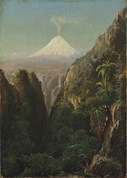 Le Sommet De Palomar Dans Les Andes Au Chili Oil Painting by Henry A. Ferguson