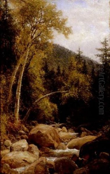 Lafayette Brook, Lafayette Mountain, White Mountains, New Hampshire Oil Painting by Henry A. Ferguson