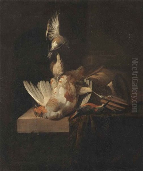 A Finch Suspended From A Rope, A Partridge And A Kingfisher On A Partially Draped Stone Ledge Oil Painting by William Gowe Ferguson