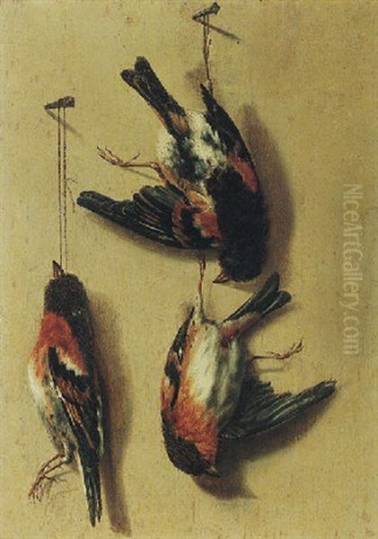 Still Life Of Song Birds Oil Painting by William Gowe Ferguson