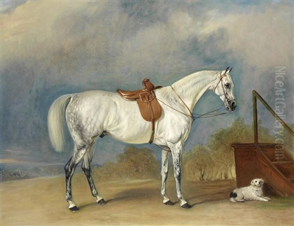 A Side-saddled Grey Hunter by John Ferneley Jr.