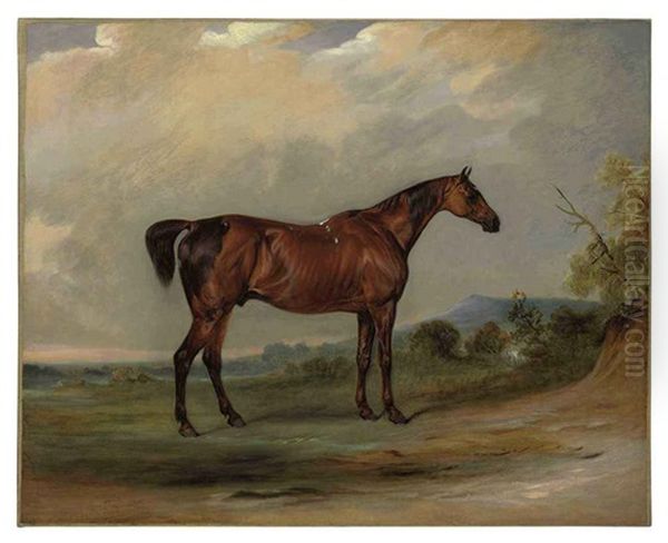 Sir David Baird's Chestnut Hunter 