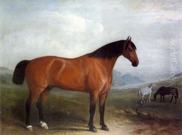 Portrait Of A Bay Hunter In Landscape With Grey And Chestnut Horses Oil Painting by John Ferneley Jr.