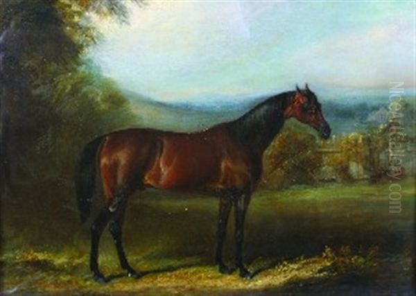 Portrait Of A Horse Oil Painting by John Ferneley Jr.