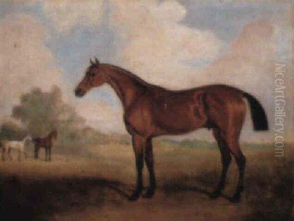 A Stallion In A Landscape, With Horses In The Middleground Oil Painting by John Ferneley Jr.