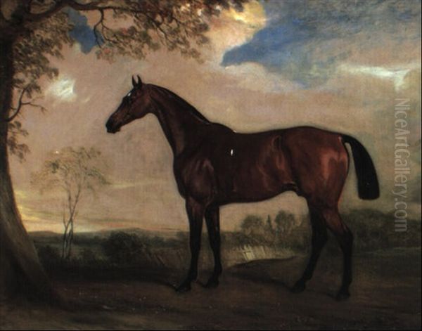 Portrait Of A Hunter Mare, The Property Of Robert Shafto Of Durham Oil Painting by John Ferneley Jr.