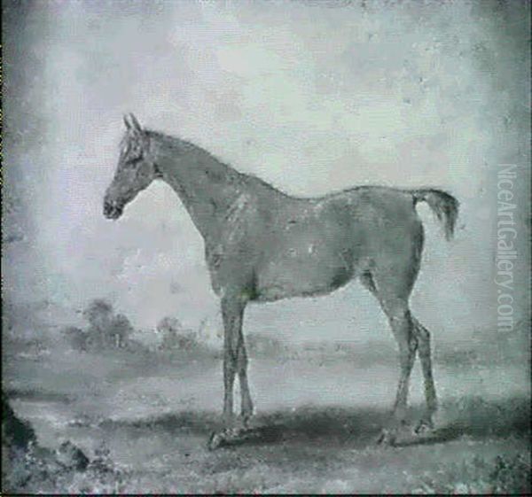 A Chestnut Filly In A Field Oil Painting by John Ferneley Jr.